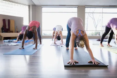 Yoga surges in popularity, while organised sport is in decline in New Zealand