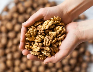 Snacking on walnuts can suppress hunger