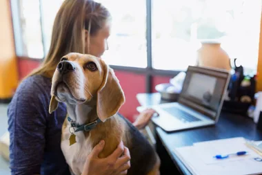What you need to know about Pets at Work Day