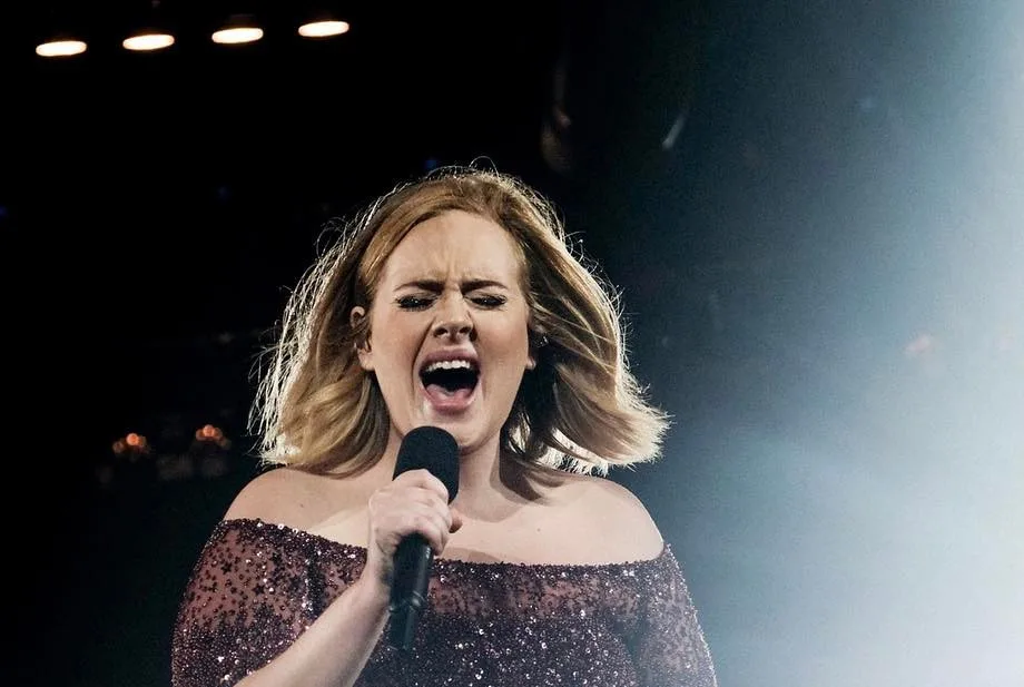 Adele sets new record for swearing during on of her concerts