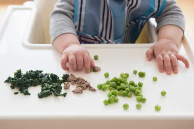 Baby-led weaning doesn’t mean babies gain less weight