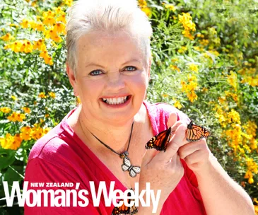 Why I’m saving New Zealand’s monarch butterflies