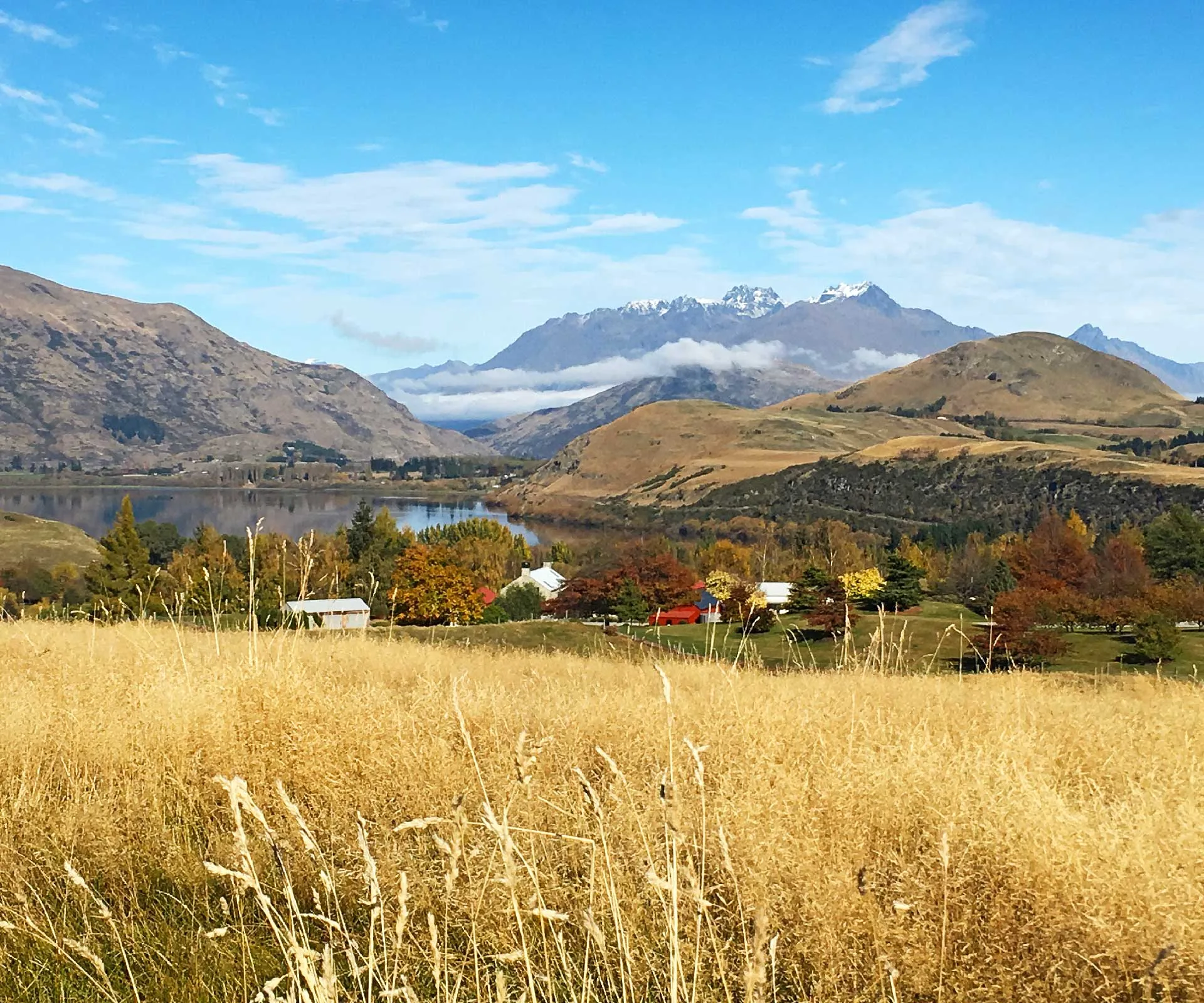 What to do in Central Otago