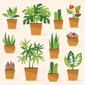 How to keep your house plants alive during winter