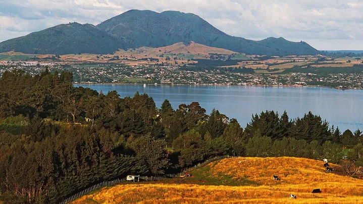 Taupo
