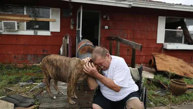 The dogs of Hurricane Harvey