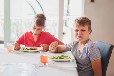 How much food families are wasting every year