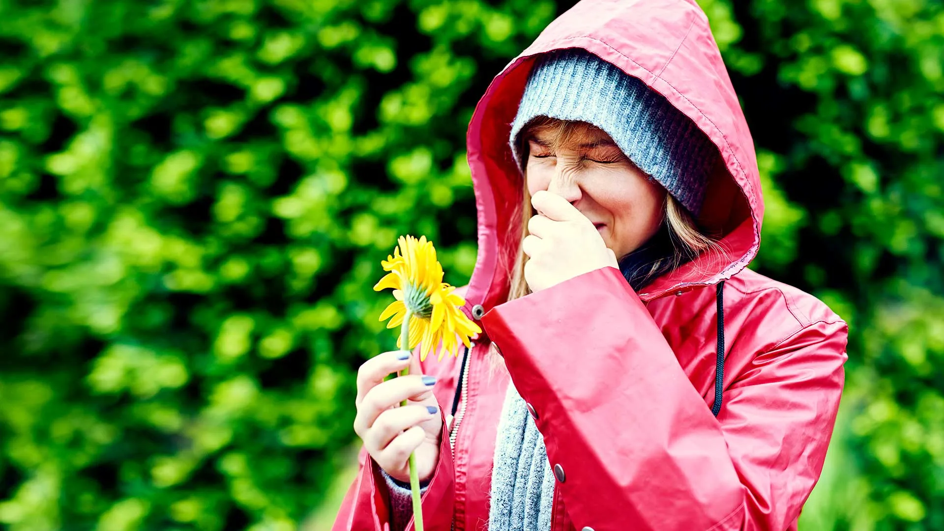 5 natural hayfever remedies