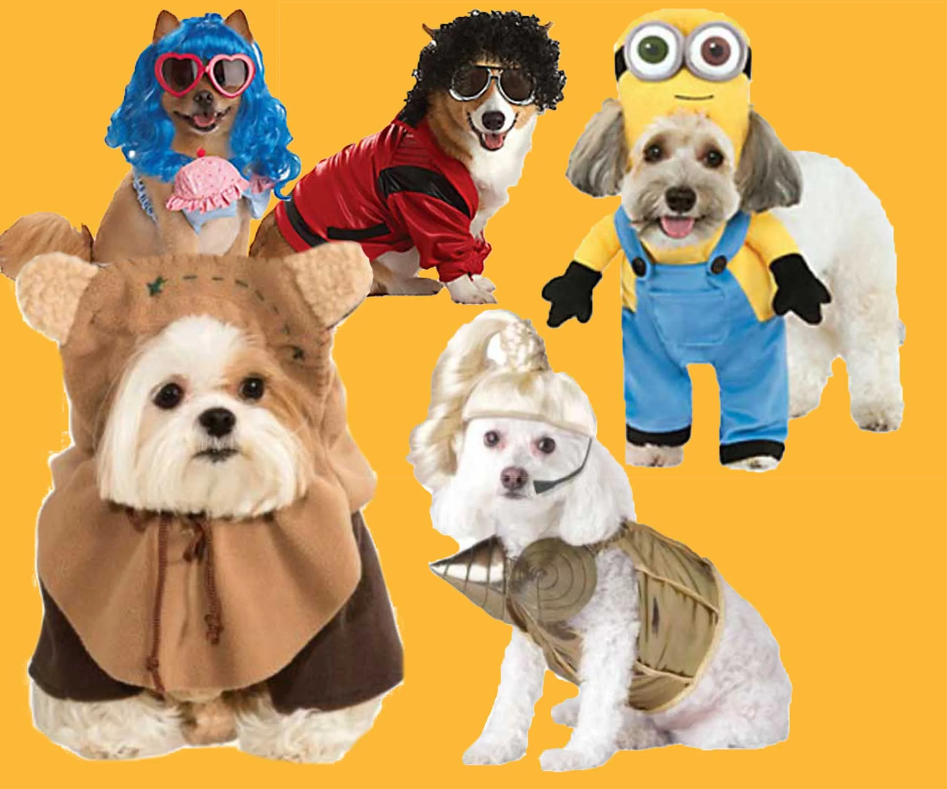 Pet costumes for your dog to wear this Halloween