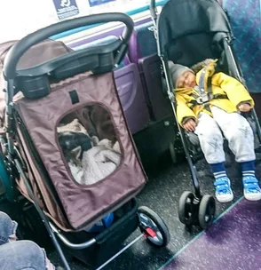 Mum and child forced to stand in bus because CAT in pram had the pram space
