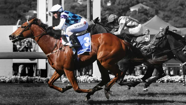 Sam Spratt racing into first place at the 2008 Christmas Carnival at Ellerslie, Auckland.