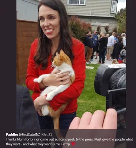 Paddles the PM’s cat has died