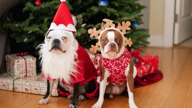 Your guide to a stress-free Christmas
