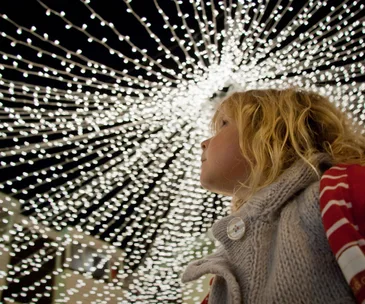 The best Christmas events in Christchurch