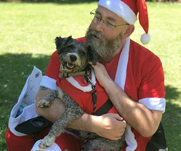 Santa Paws