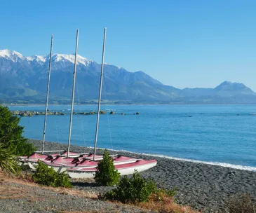 5 reasons to love Kaikoura