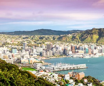 5 reasons to love Wellington