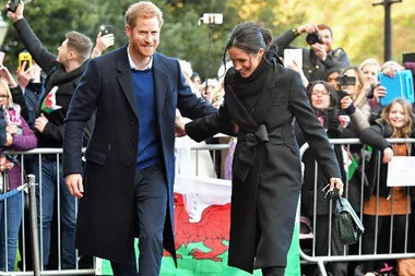 Too cute! Prince Harry and Meghan Markle just received their first wedding gift