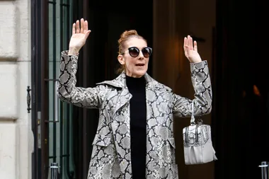 Celine Dion to tour NZ for the first time in 20 years