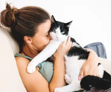 14 things that every cat owner does but won’t admit to