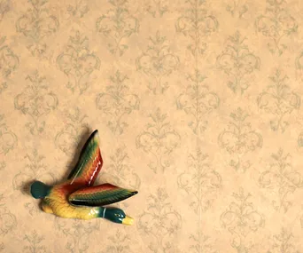 How living in a house truck taught me to declutter my home and my life