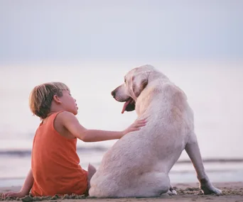 9 things that all kids need to know about dogs