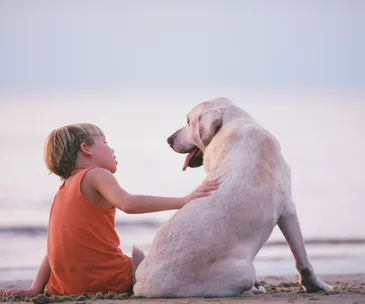 9 things that all kids need to know about dogs