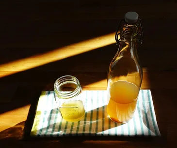5 things you need to know about making your own kombucha
