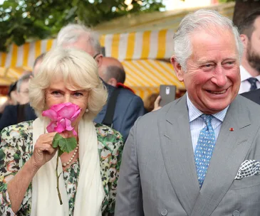 Prince Charles says he feels “marvelous” about the upcoming royal wedding