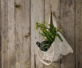 How companies are stepping up to help Kiwis be more sustainable