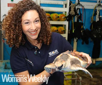 The Kelly Tarlton’s aquarist saving turtles one plastic bag at a time