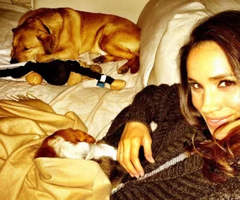Meghan Markle is being attacked on social media for not taking her dog Bogart to England