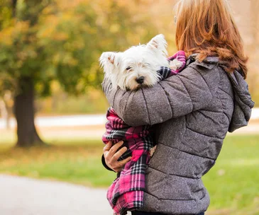 How to keep your dog warm in winter