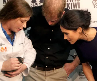 Prince Harry and Duchess Meghan narrowly miss out seeing a kiwi chick hatch in Rotorua