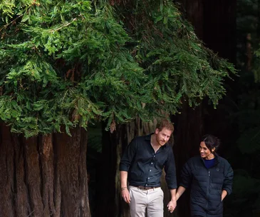 Prince Harry and Duchess Meghan wrap up their royal tour of NZ with a walk amongst the treetops