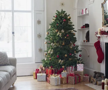 When is the proper time to take down your Christmas tree?