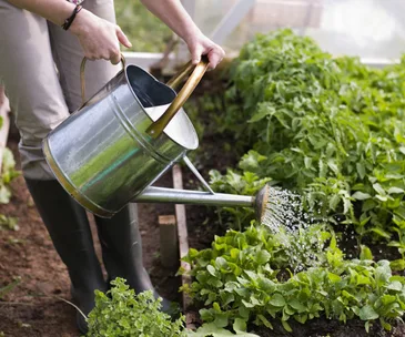 3 small changes you can make to live a more eco-friendly life