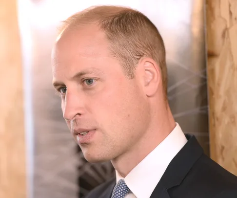 prince william serious