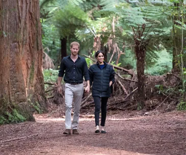 Prince Harry’s stunning wildlife photography is revealed in celebration of Earth Day
