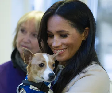 meghan markle and a dog