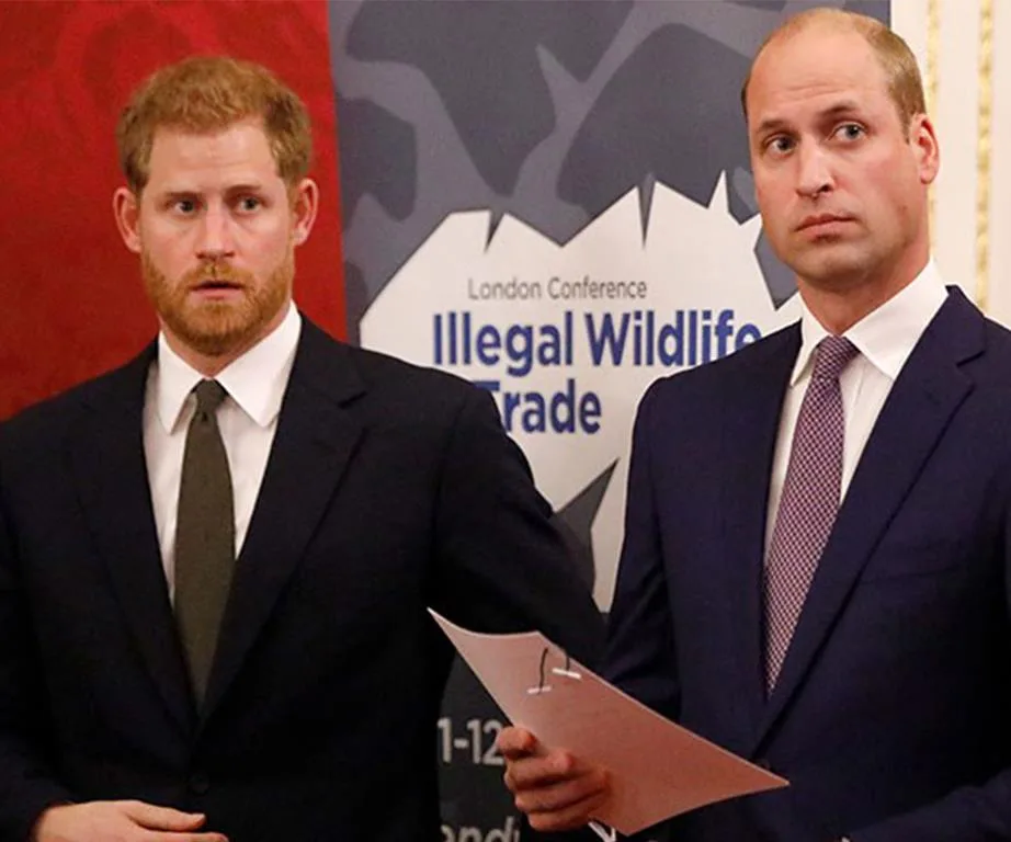 prince harry and prince william