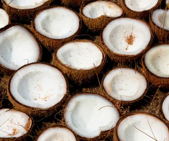 Coconuts