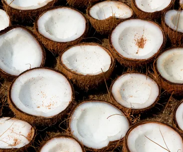 Coconuts