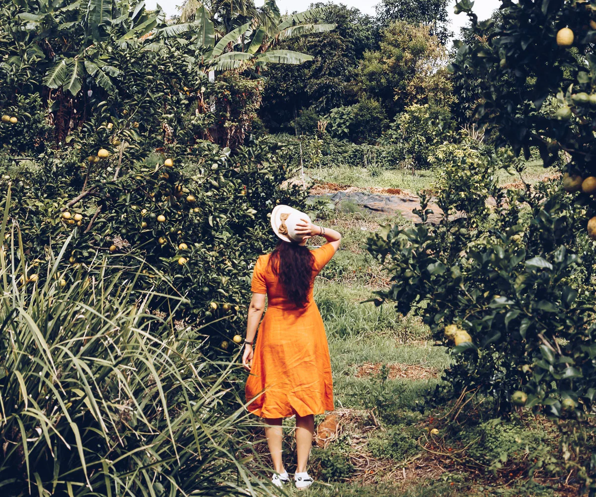 The Falls Farm Queensland