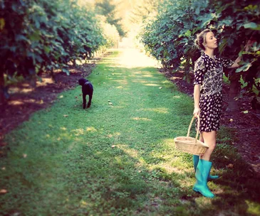 We moved from Auckland to an orchard in Marlborough and haven’t looked back!