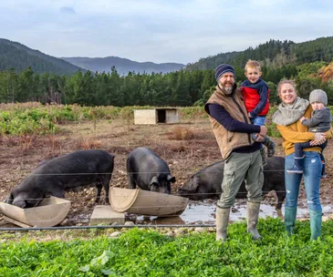 Swapping city life for country life: We moved from Sydney to a pig farm in Manakau