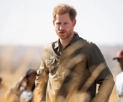 prince harry botswana