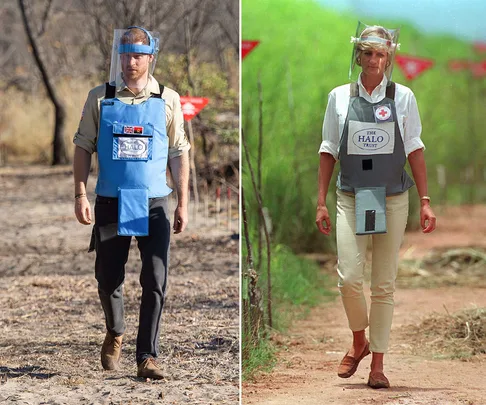 prince harry princess diana landmines angola