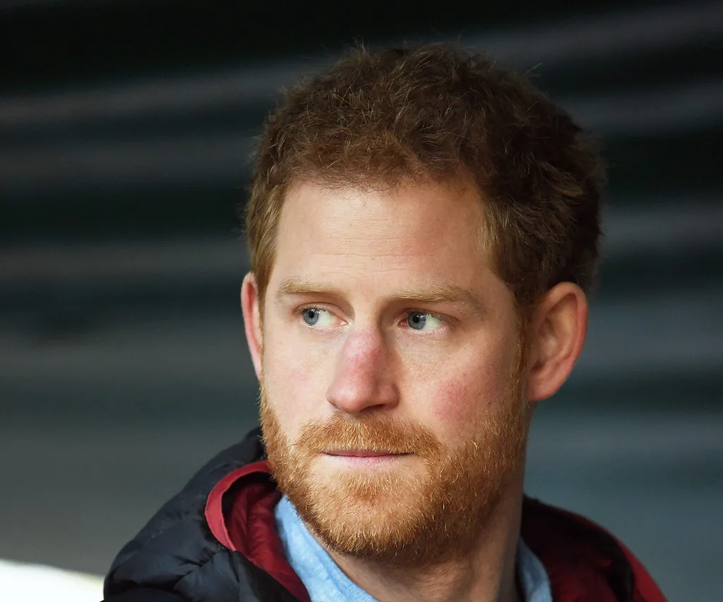 prince harry serious