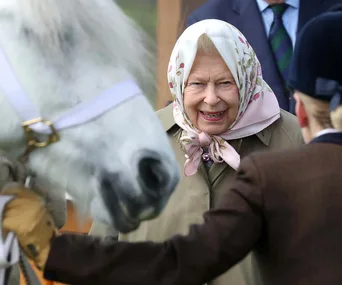 Love horses and royals? Dream about living in a palace? Have we got the job for you!
